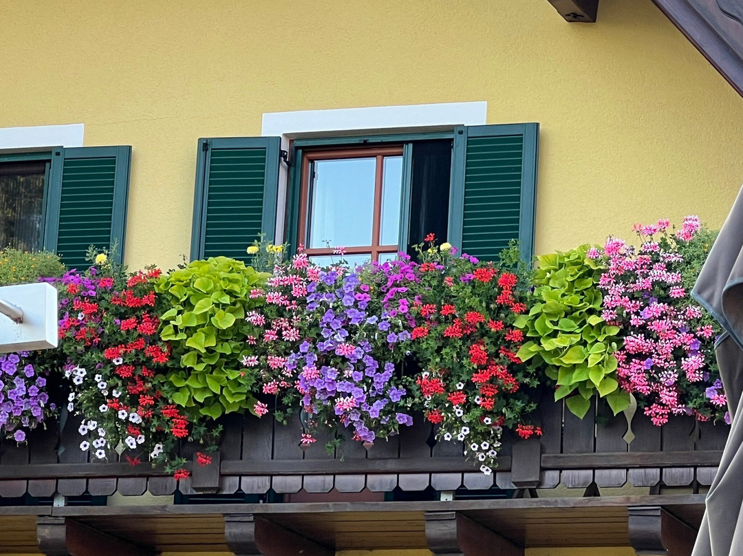 Weingut Fellner主图