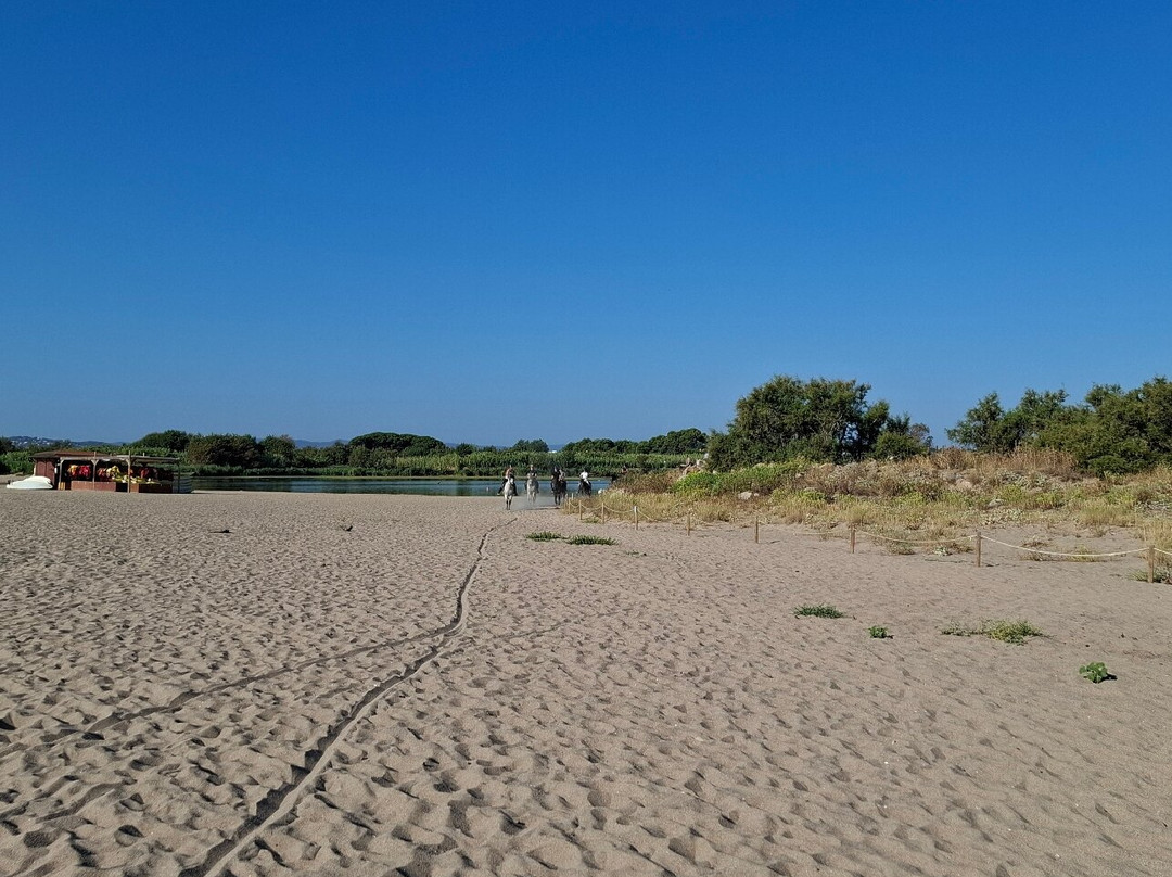 Hipica Mas Paguina-L'Estartit必去景点