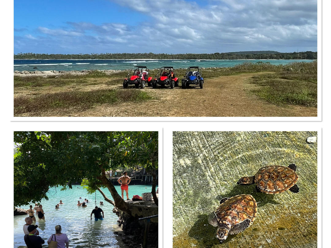 Yumi Tours & Transfers Vanuatu-维拉港必去景点