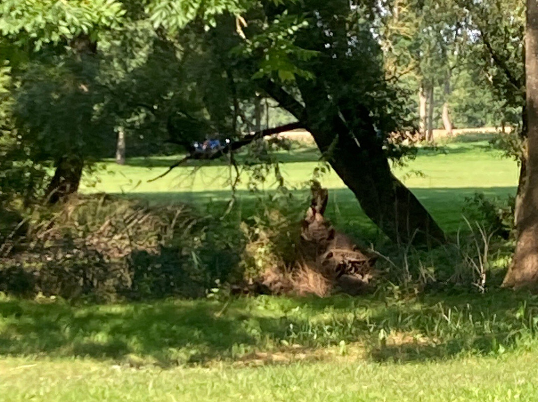 Romantik Hotel Gutshaus Ludorf主图