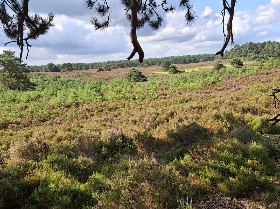 Mountainbiken Op De Veluwe-Emst必去景点