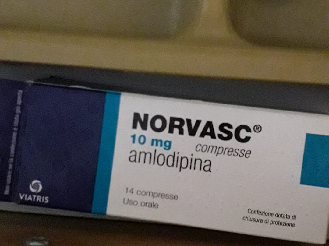 I Giardini di Atena主图