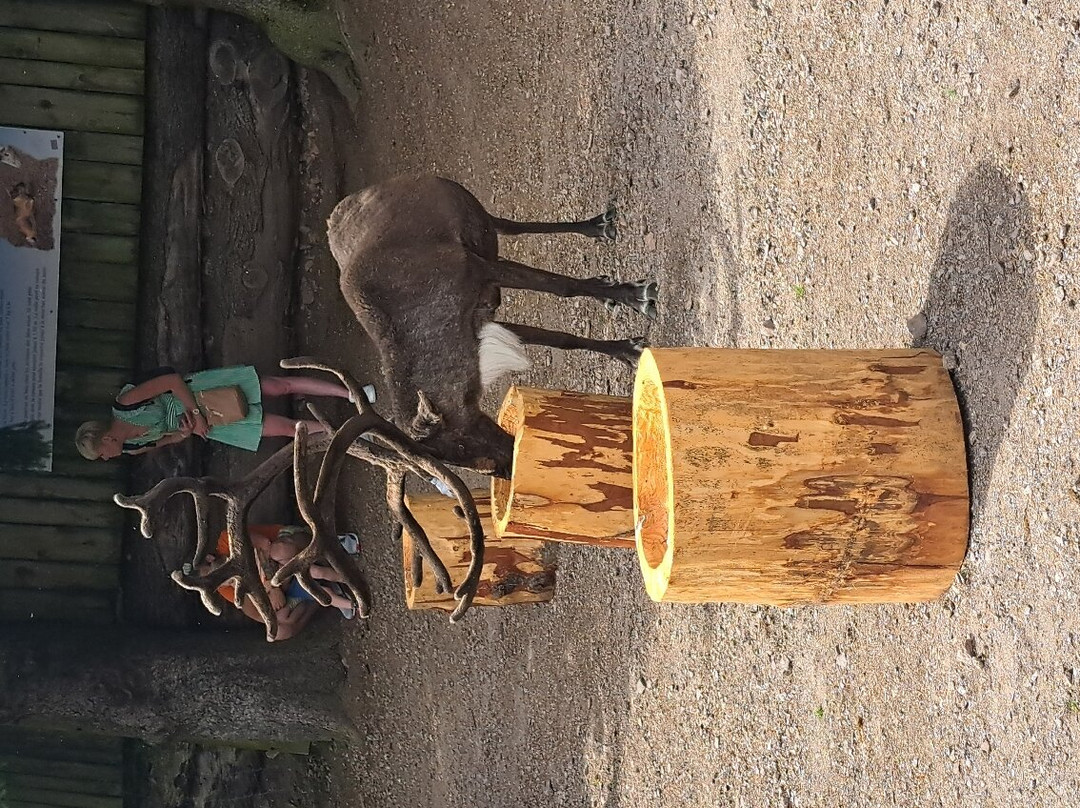La Ferme aux Rennes景点图片