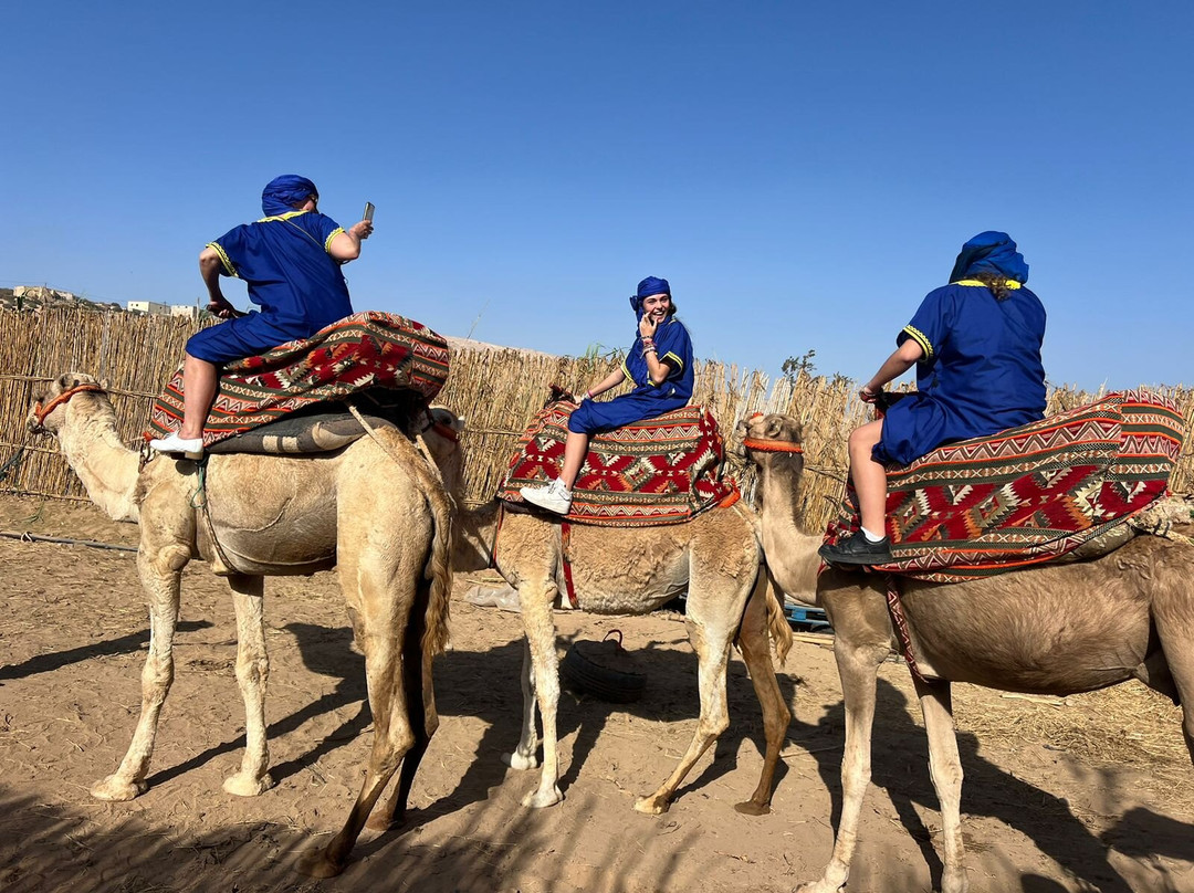 Ranch Tamri-阿加迪尔必去景点
