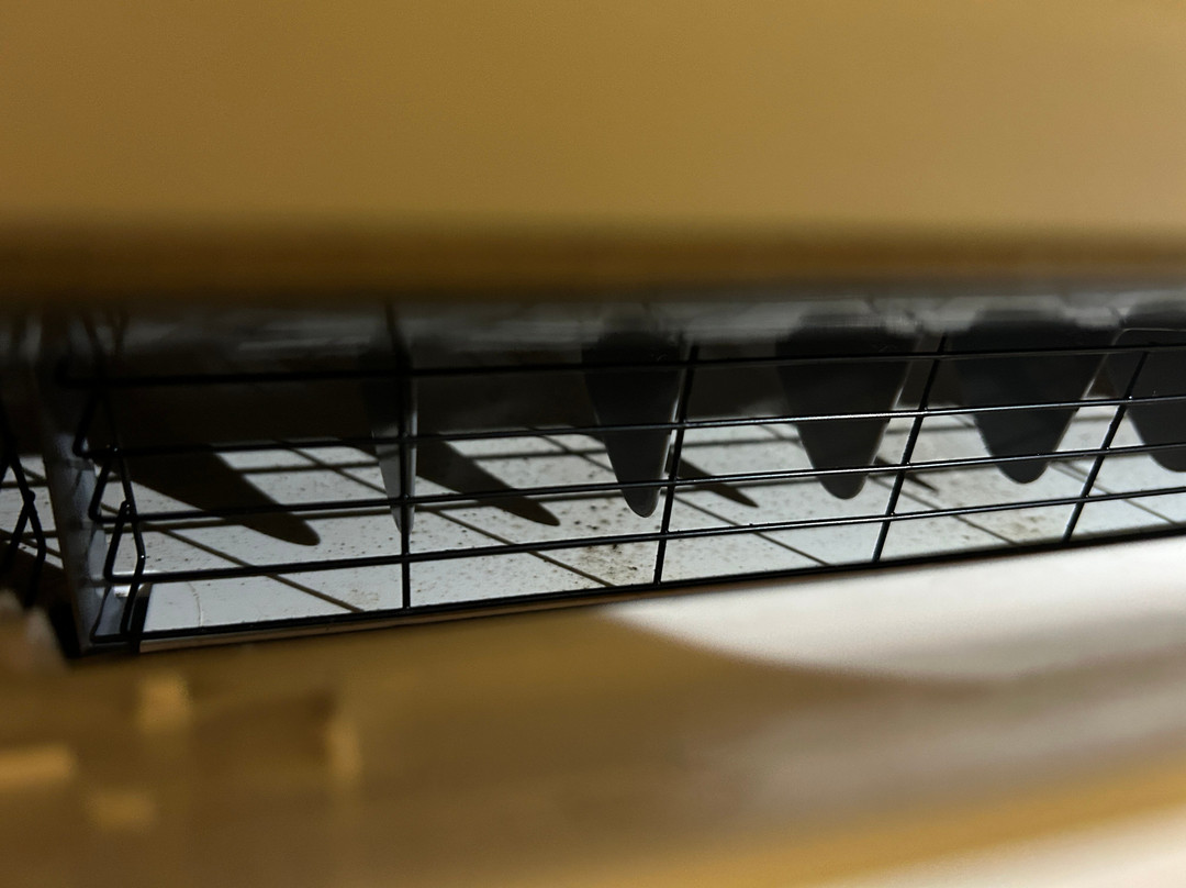 The Thunderbird Inn主图