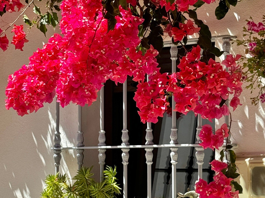 The Estepona Old Quarter Casco Antiguo景点图片