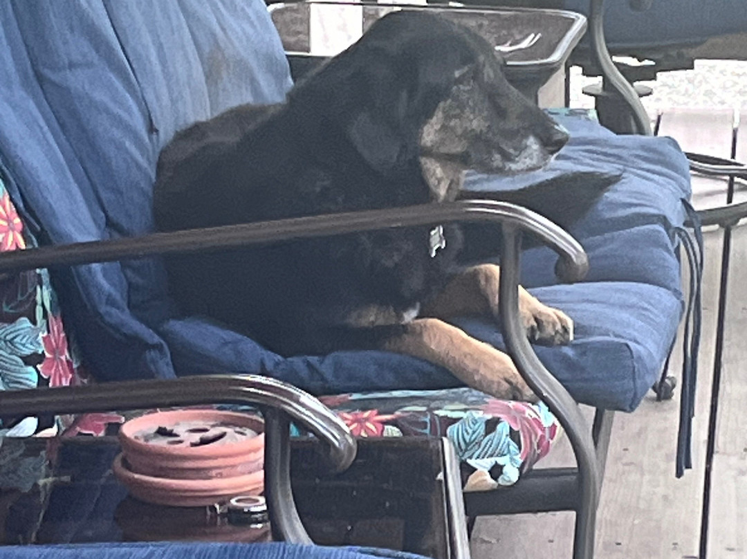 Deshka Landing Charters & Lodge主图