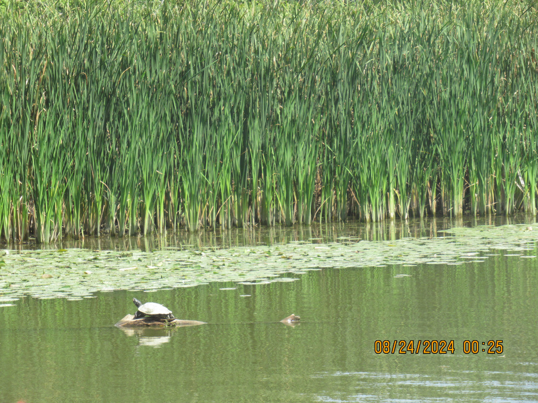 Nomada Charters-多佛港必去景点