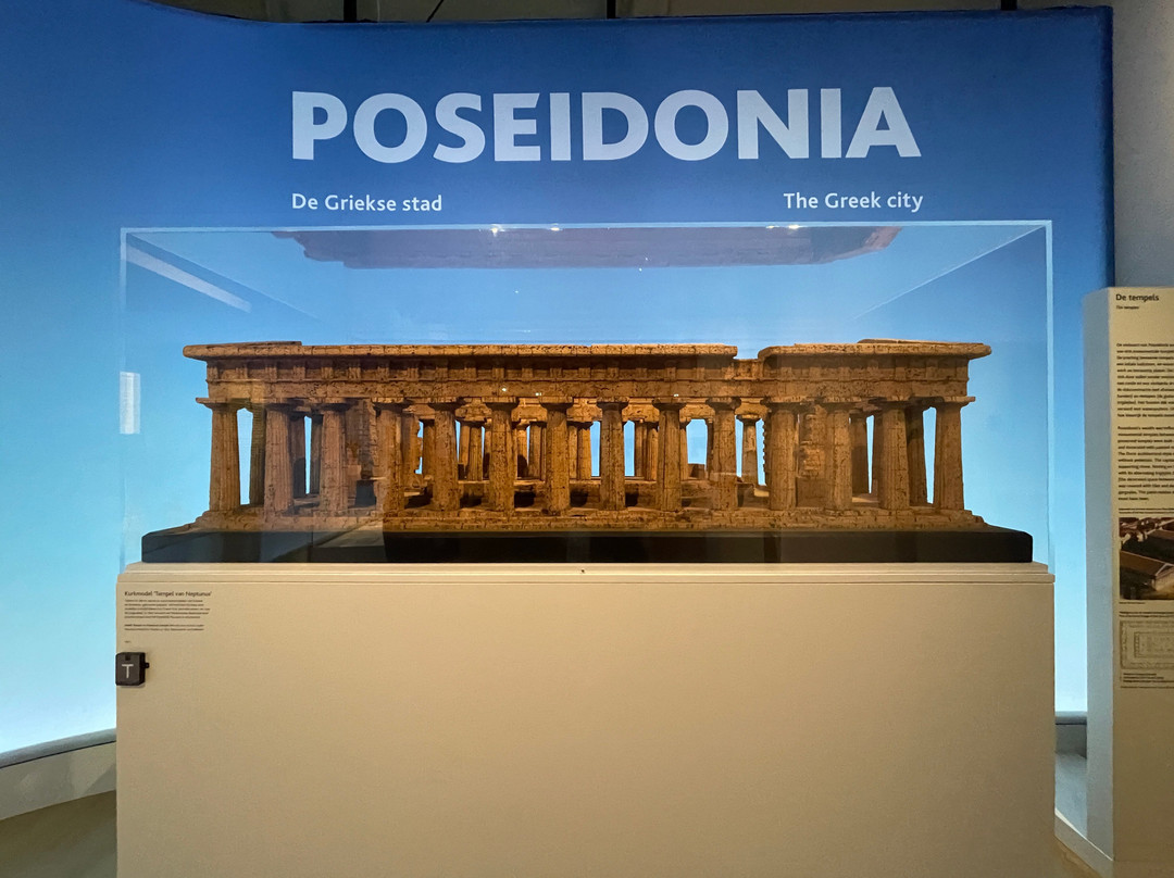 National Museum of Antiquities (Rijksmuseum van Oudheden)-莱顿必去景点