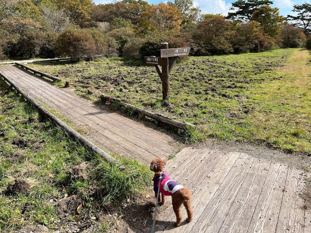 Nasu Nature Study Paths-那须町必去景点