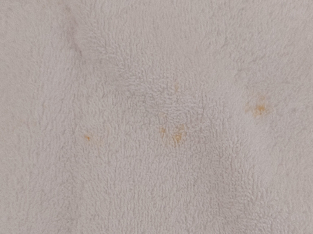 Futura Club Casarossa