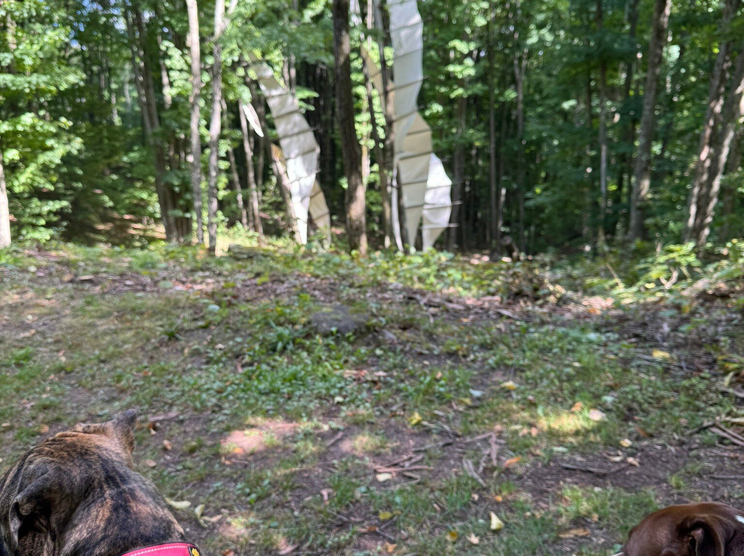 Baymont by Wyndham Beulah主图