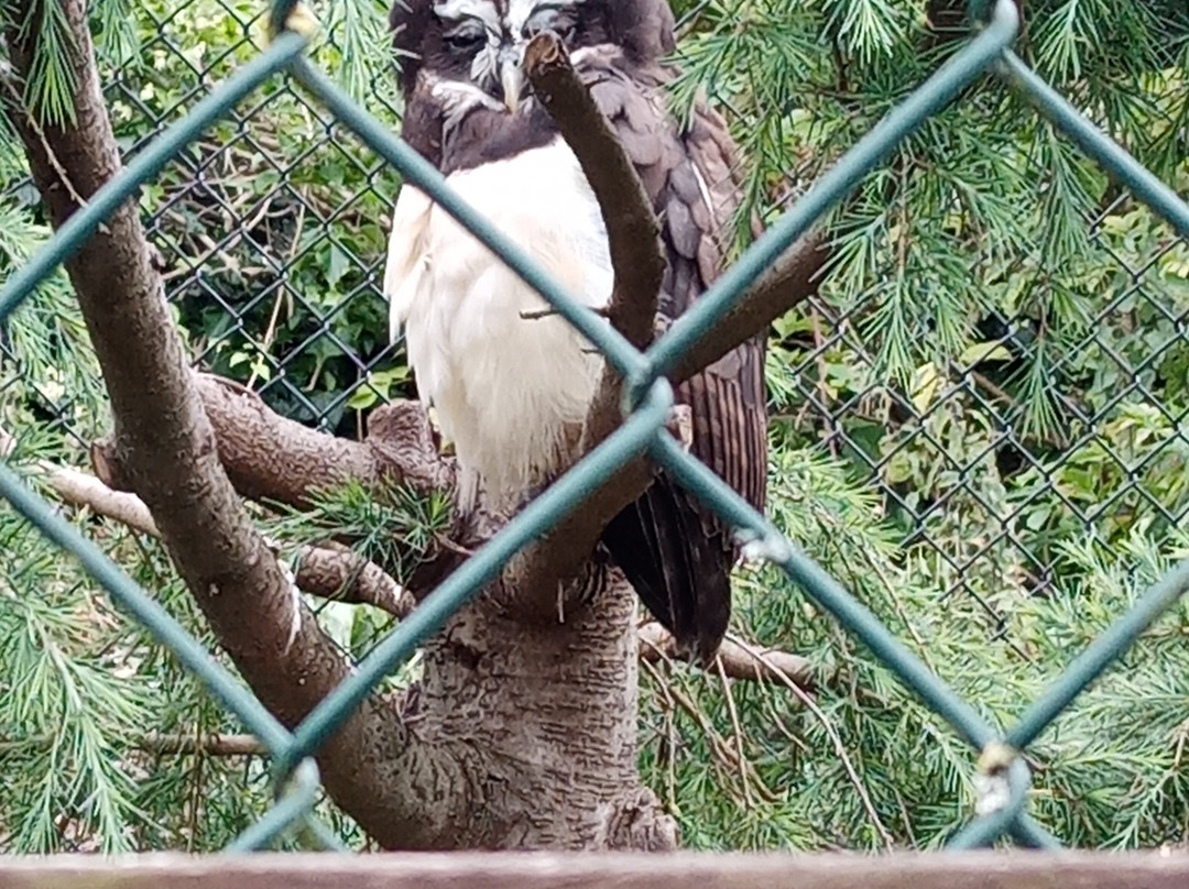 The Owls Trust景点图片