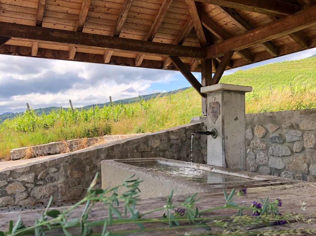 Domaine De Gourmandaz-Corcelles-Près-Concise必去景点