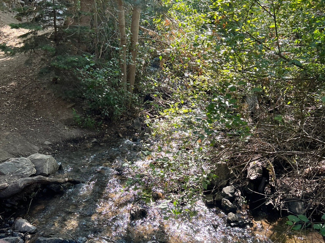 Waterfall Canyon Trail-奥格登必去景点
