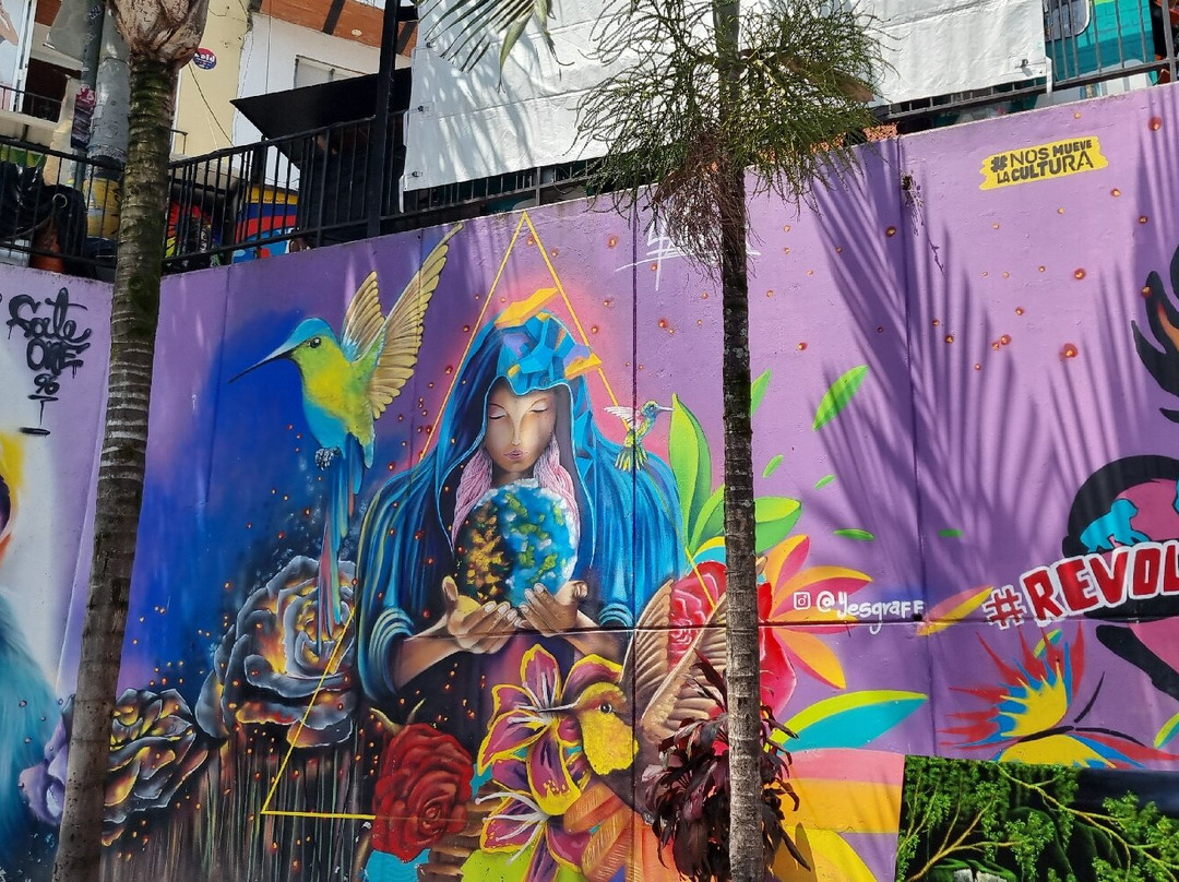 Super Tours Medellin-麦德林必去景点