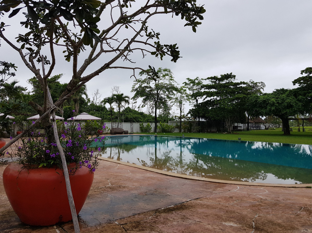 Samanea Beach Resort & Spa主图