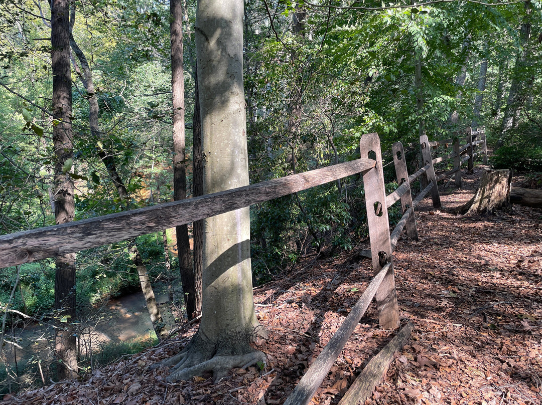 Freer Nature Preserve景点图片