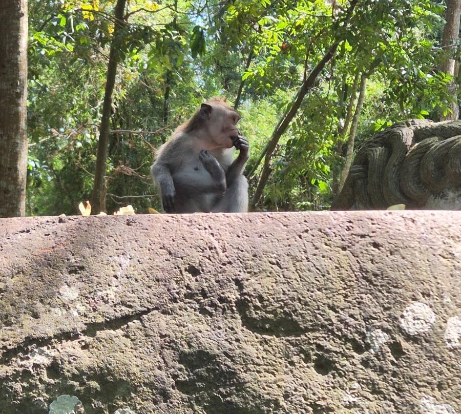 G’day mate Bali tour & baby hire-Kuta Selatan必去景点