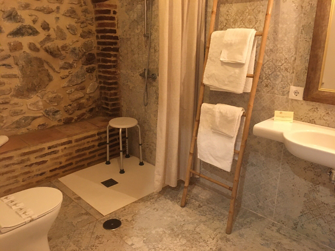 Hotel Palacio Conde del Alamo主图