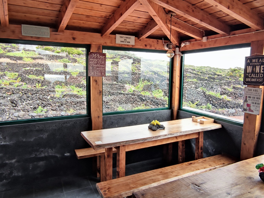 Adega Vitivinícola Lucas Lopes Amaral-Candelaria必去景点