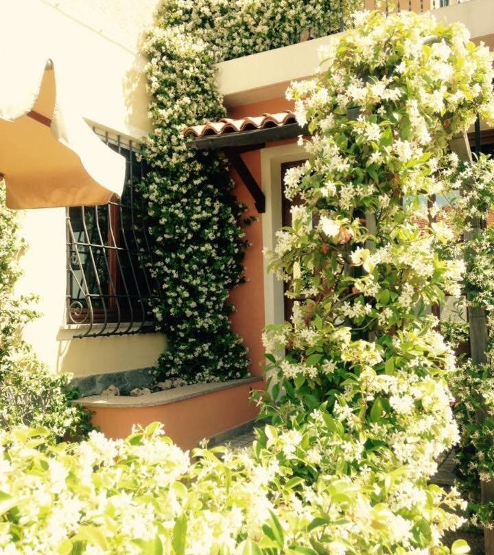 Albergo Ristorante Bergallo主图