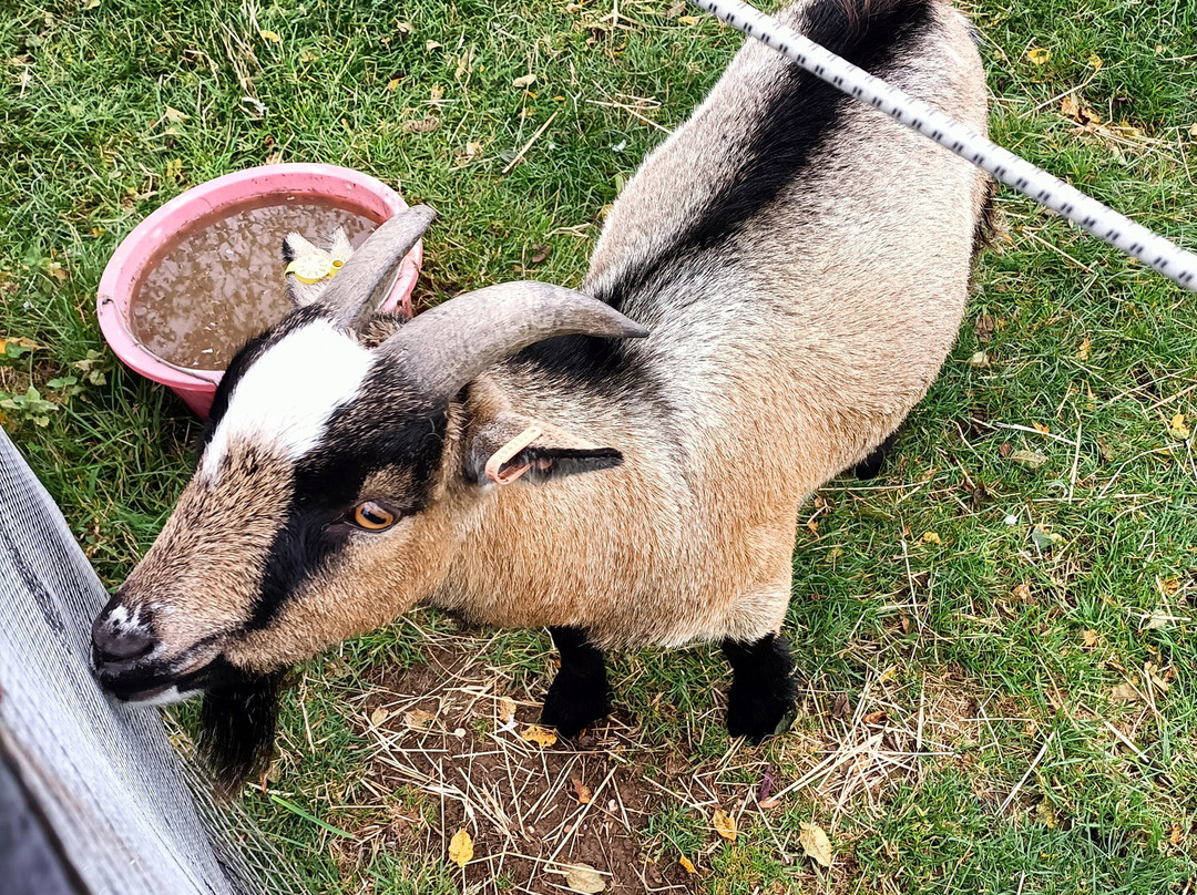 Banbury Hill Farm主图