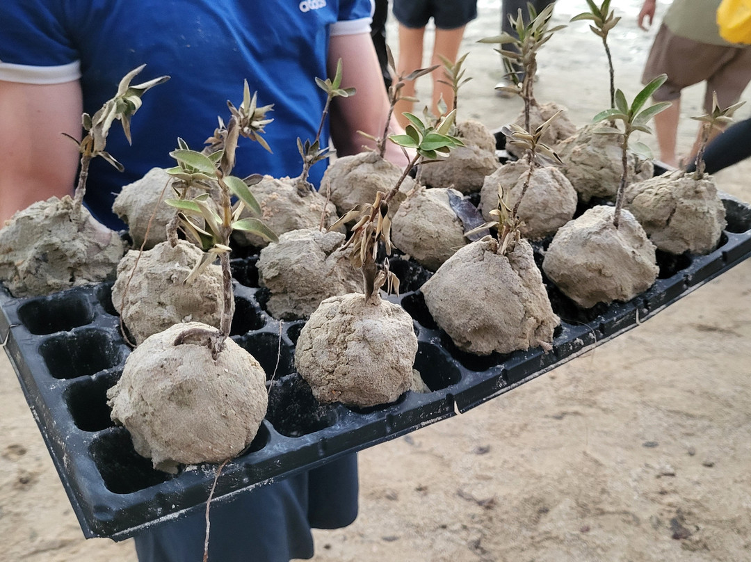 Aquasports Qatar-多哈必去景点