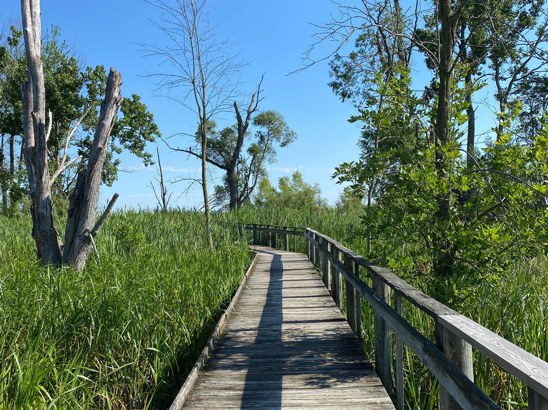 Maumee Bay State Park-Oregon必去景点