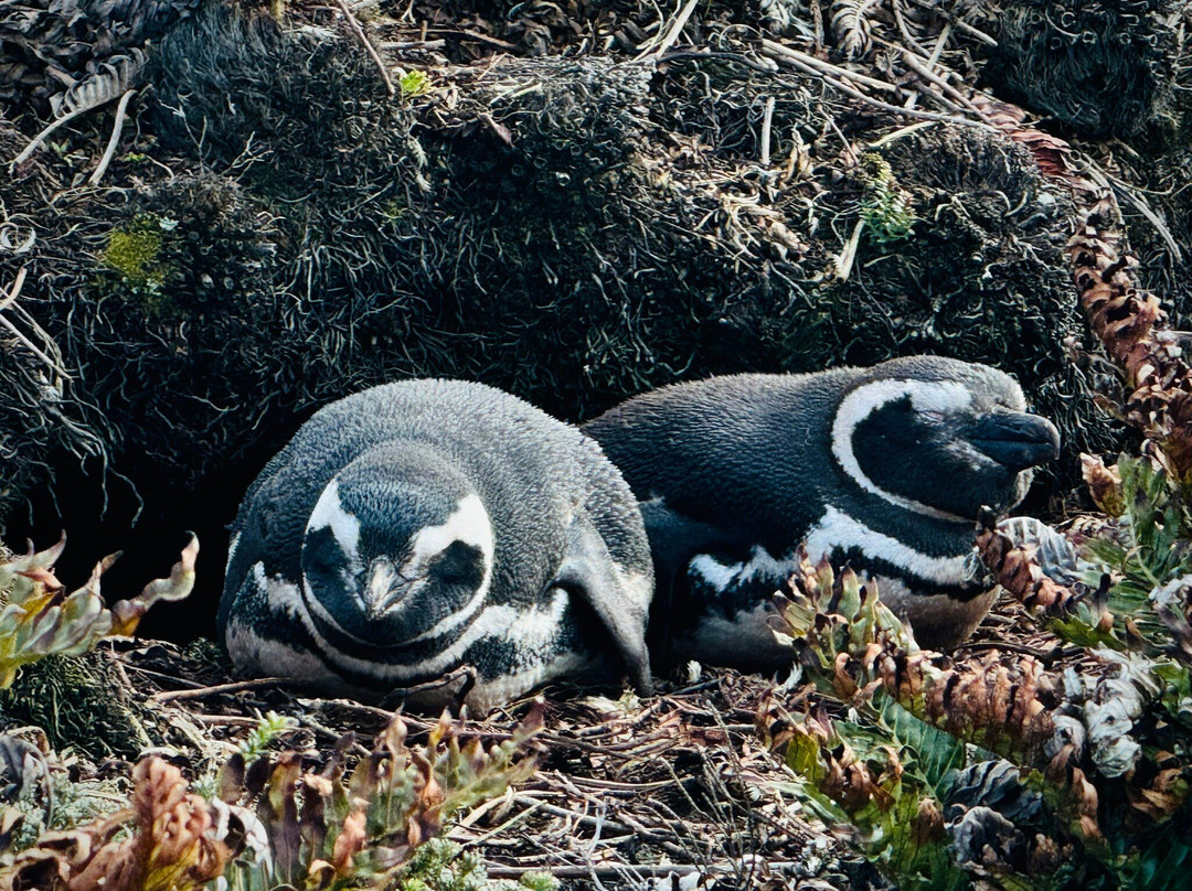 Gypsy Cove-Stanley必去景点