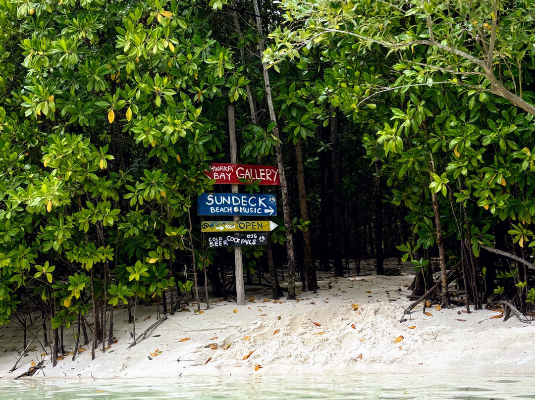 Kae Best Kayaks-米查维必去景点