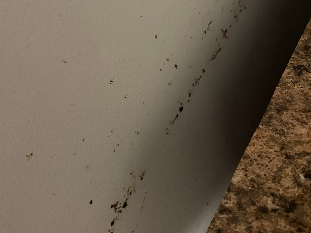 Anchor Inn & Cottages主图