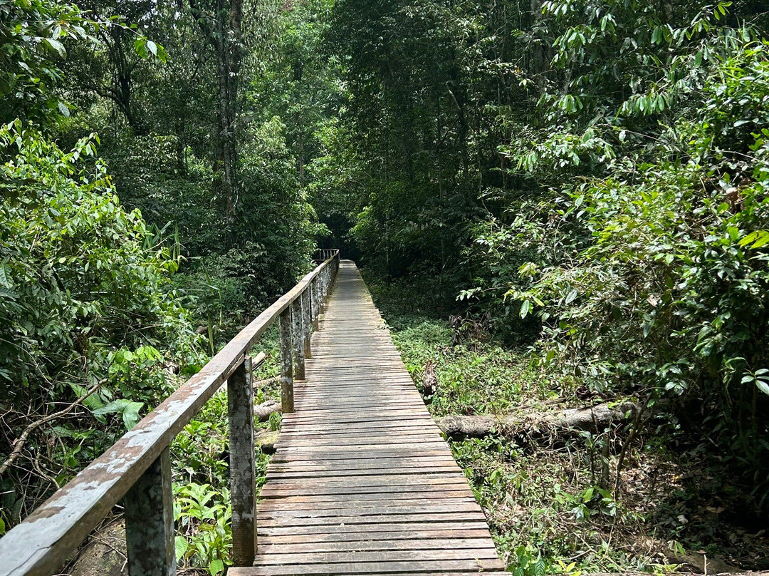 Niah Caves-美里必去景点