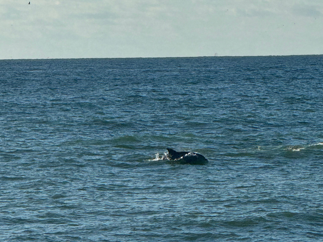 Hero Beach Club主图