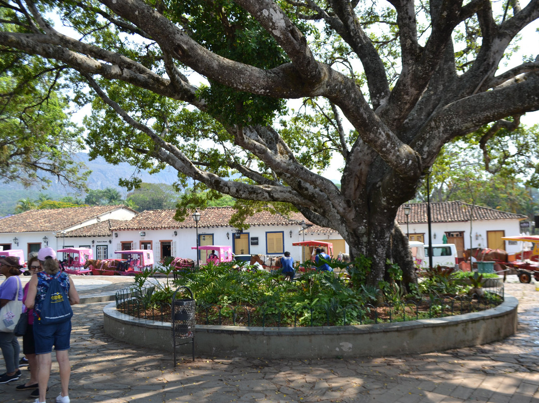 Largo das Forras-蒂拉登特斯必去景点