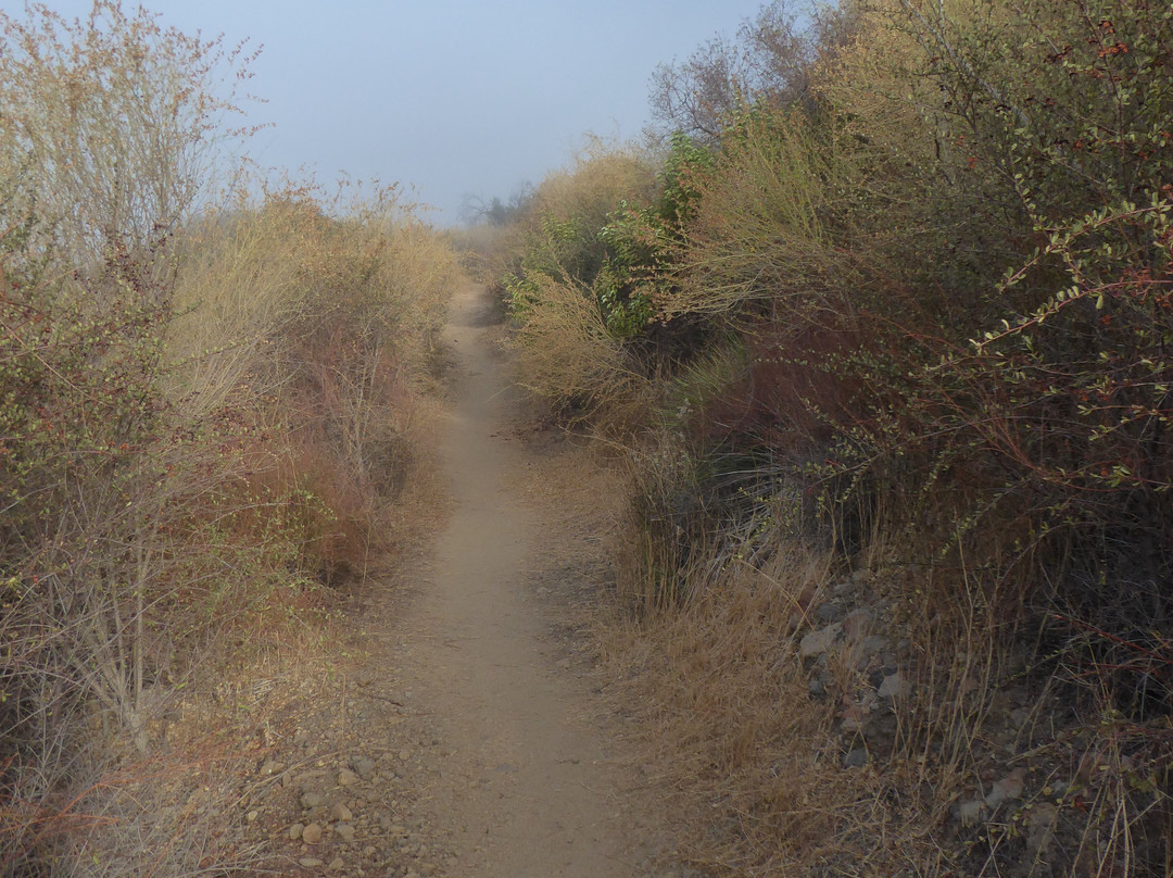 Backbone Trail景点图片
