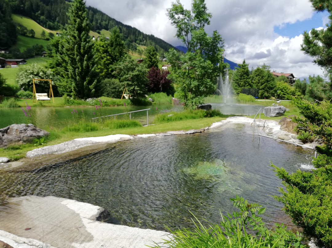 Forster's Naturresort主图