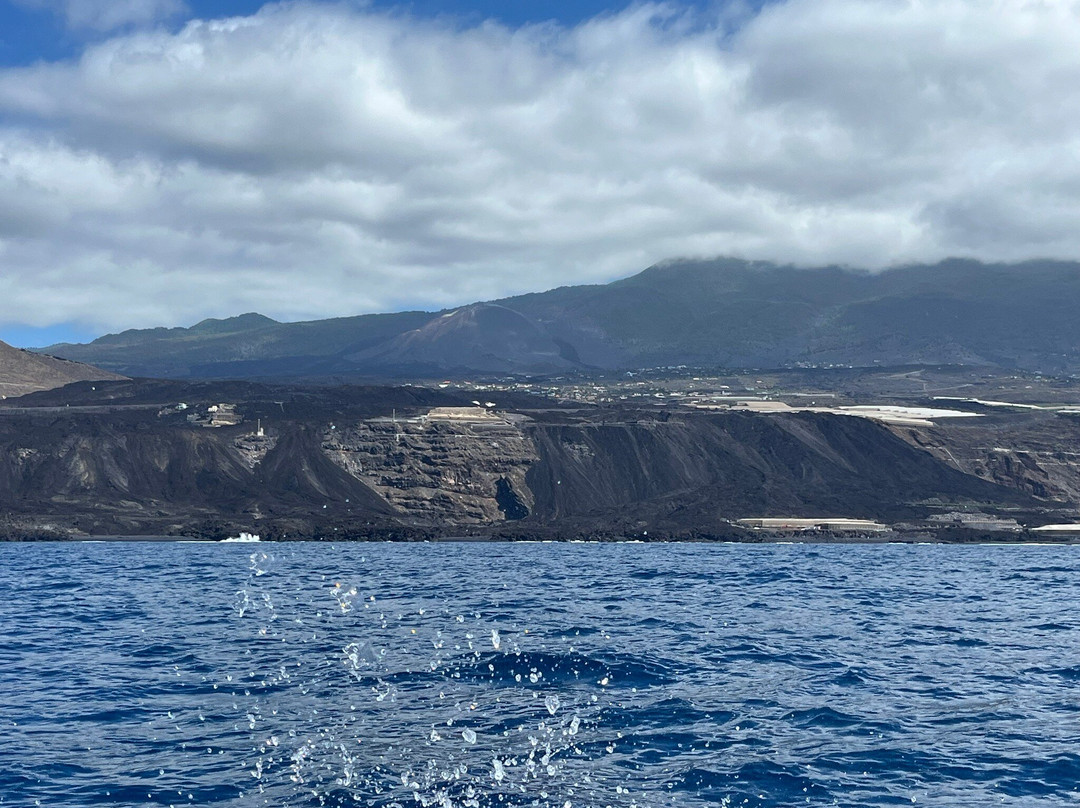Nemo La Palma-Puerto de Tazacorte必去景点