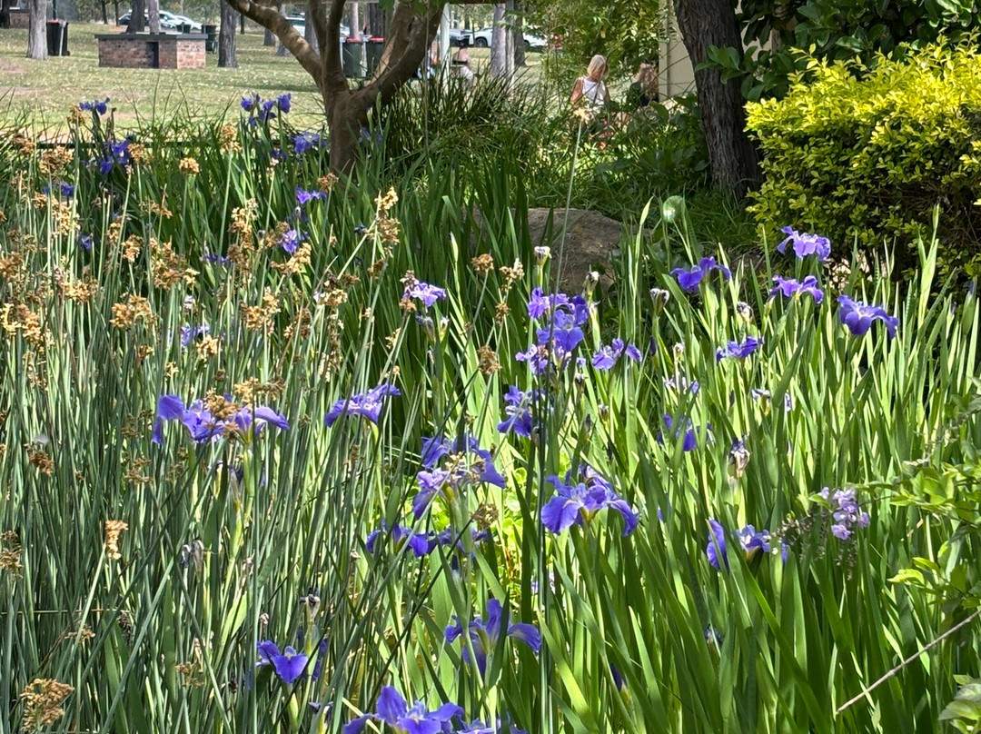 Lime Leaf Cafe主图