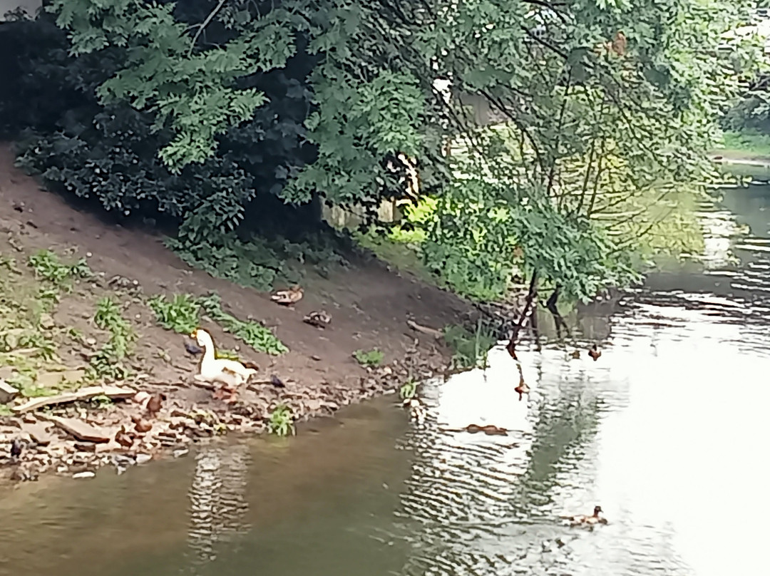 Goch Stadt Park