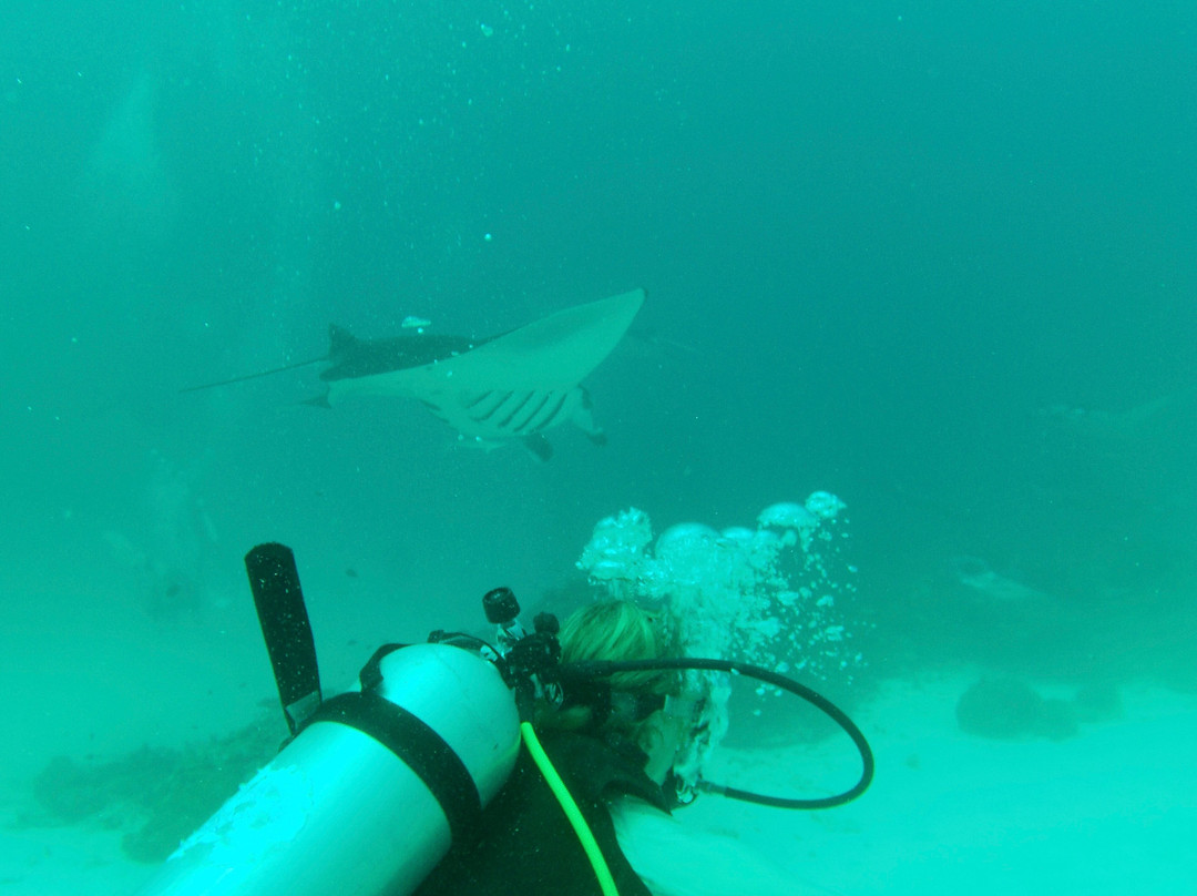 Murakabay Maldives Dive Center景点图片