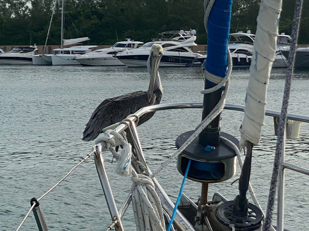 Sailboat Cancun-坎昆必去景点