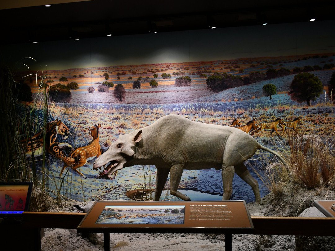 Ben Reifel Visitor Center景点图片