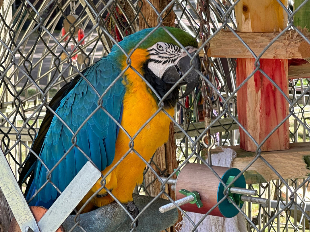 Hawaii's Local Buzz-纳勒胡必去景点