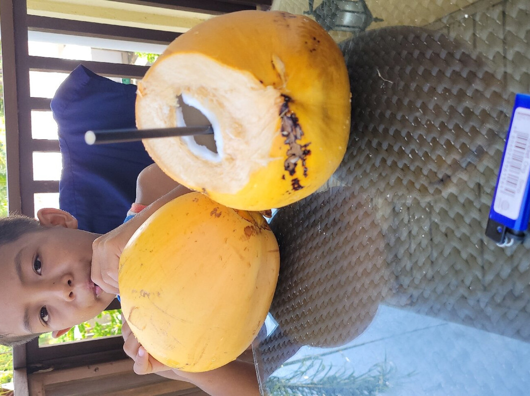 Caimito Beach Hotel主图