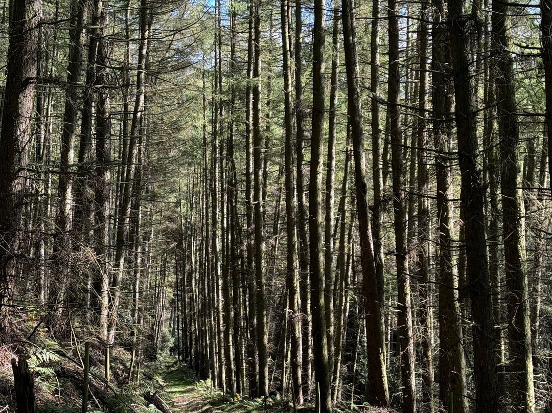 South Moor Farm主图