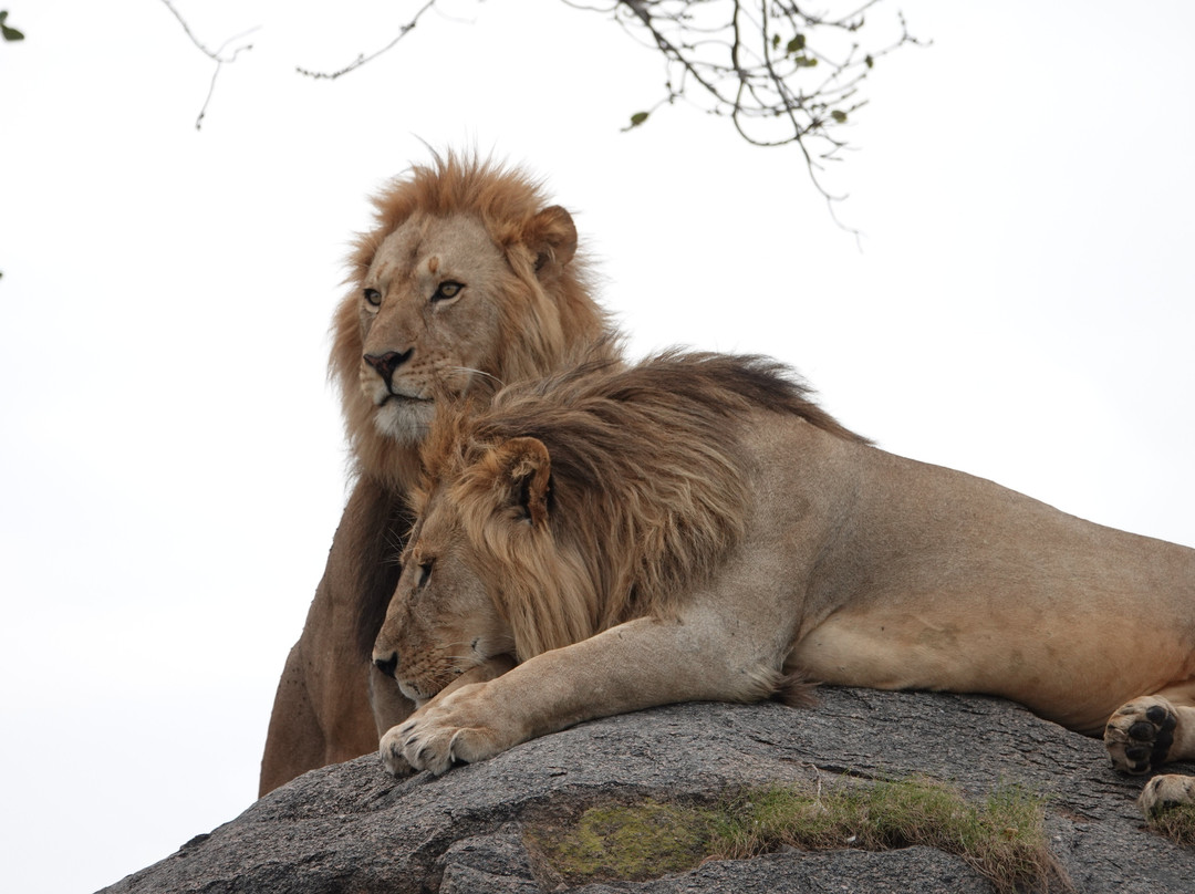 Tan Spirit Safari-阿鲁沙必去景点