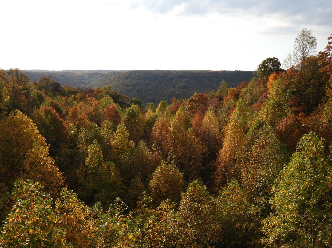 The Garden Inn主图