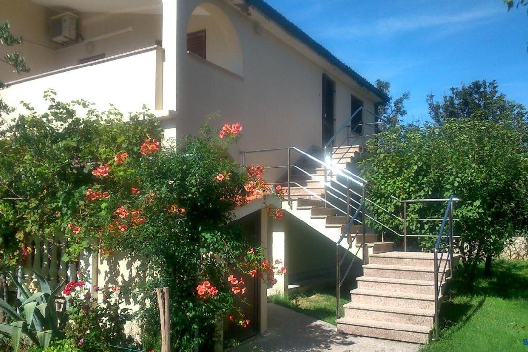 Apartments Vlasici
