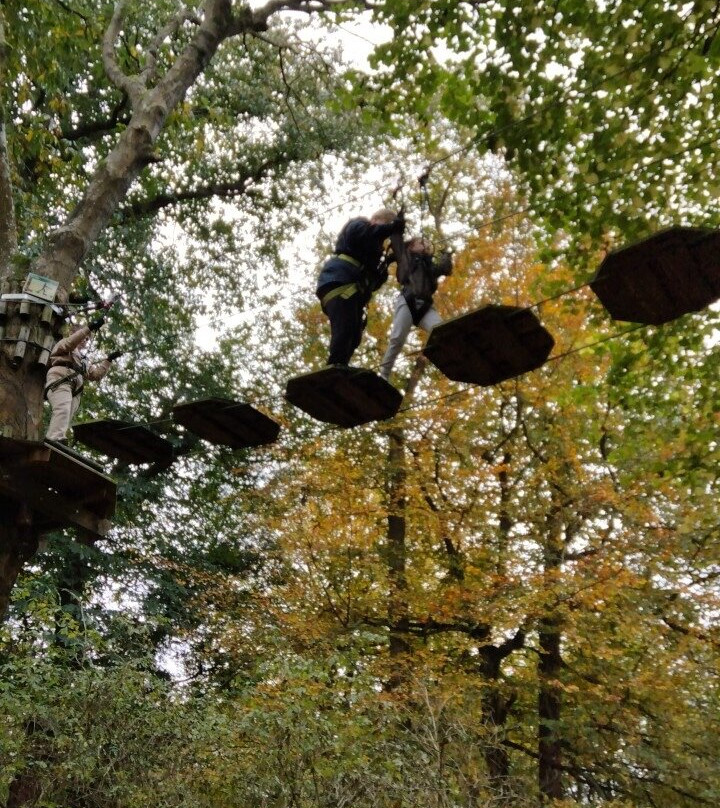 Go Ape Leeds Castle景点图片